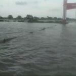 Banjir Kepung Bengawan Jero Kabupaten Lamongan Warga Menjerit Aktivitas Lumpuh