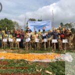 Gerakan Pengendalian Inflasi, Bupati Humbahas Panen Jagung di Paranginan