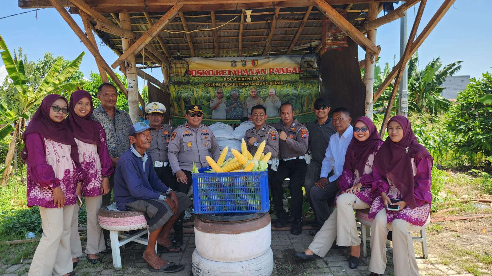 Foto: Panen raya jagung manis oleh Polsek Kenjeran bersama petani di Tambak Wedi Surabaya