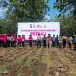 Masuk Kawasan Hutan, Bhayangkari Bojonegoro Genjot Tumpangsari