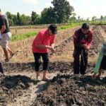 Hadapi Ancaman Kemarau, PDIP Bojonegoro Ajak Petani Temayang Beralih Tanam Jagung