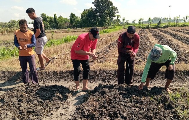 Hadapi Ancaman Kemarau, PDIP Bojonegoro Ajak Petani Temayang Beralih Tanam Jagung
