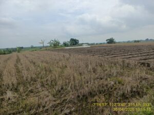 Layu di Lumbung Sendiri: Nestapa Petani Kedungadem dan Bungkamnya DKPP