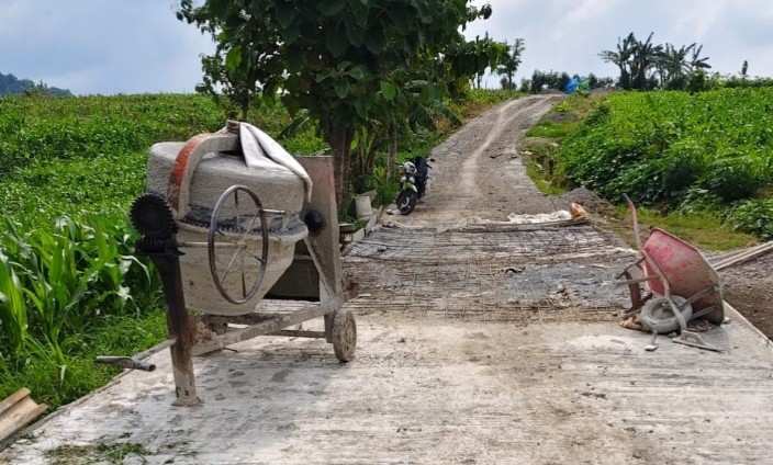 Jalan Rigid Desa Klino, Sekar, Kabupaten Bojonegoro (dok.ist)