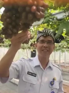 Pengadaan 1.600 Bibit Alpukat di Bojonegoro Disorot, Harga Diduga Capai Rp 92 Ribu Per Batang