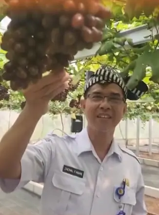 Pengadaan 1.600 Bibit Alpukat di Bojonegoro Disorot, Harga Diduga Capai Rp 92 Ribu Per Batang