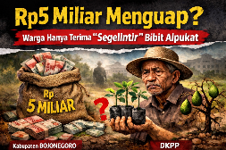 Rp5 Miliar Digelontorkan, Warga Cuma Dapat Segelintir Bibit?
