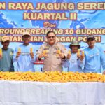 Polsek Kenjeran dan Warga Tambak Wedi Baru Gelar Panen Raya Jagung di Surabaya