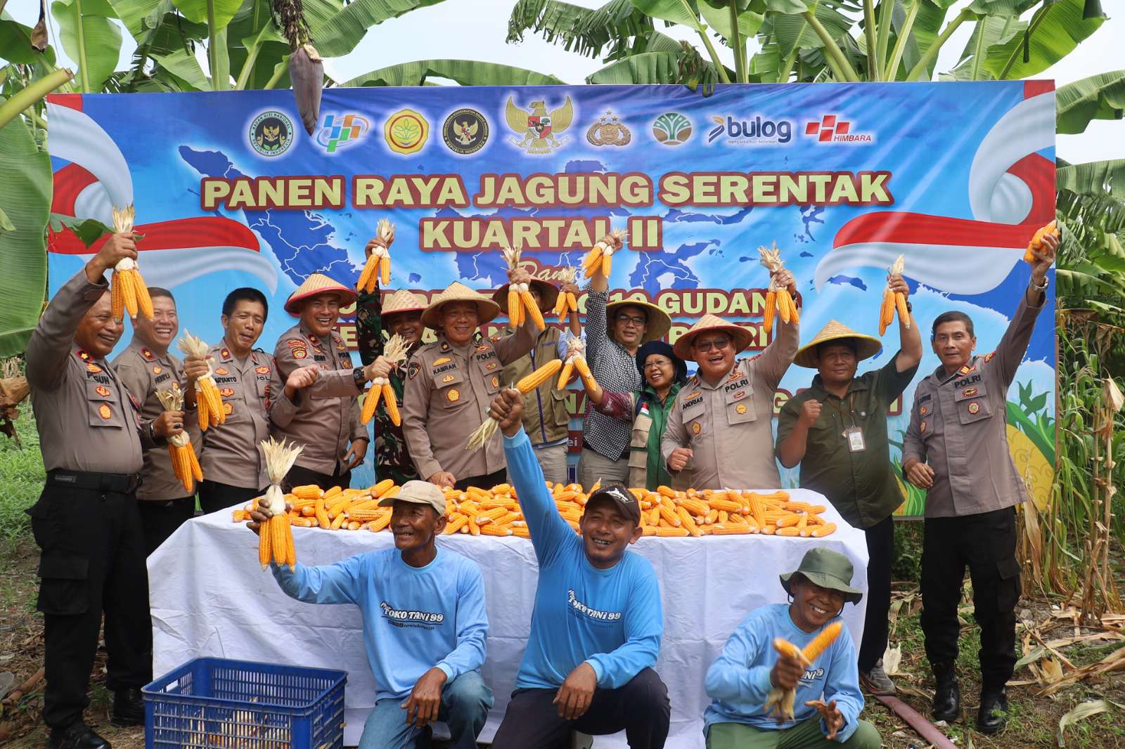 Foto: Personel Polsek Kenjeran bersama warga dan petani saat kegiatan panen raya jagung di Tambak Wedi Baru Surabaya