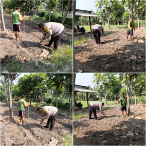 Polisi dan Warga Kompak, Bhabinkamtibmas Jambangan Tanam Jagung untuk Ketahanan Pangan Surabaya