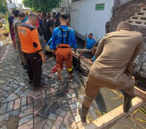 Respon Cepat! Tim Gabungan Evakuasi Sapi Tercebur Sungai di Benowo Surabaya