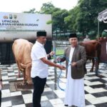 Iduladha 1447 H, Kapolda Jatim Salurkan 127 Sapi dan 22 Kambing untuk Pesantren hingga Yatim Piatu
