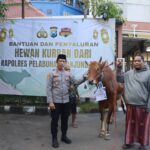 Iduladha Penuh Kepedulian, Polres Pelabuhan Tanjung Perak Salurkan Hewan Kurban untuk Masyarakat