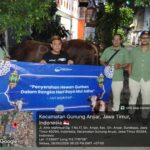 PAM Surya Sembada Distribusikan 13 Ekor Sapi Qurban untuk Warga Surabaya saat Idul Adha 1447 H