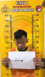 Satresnarkoba Polres Lamongan Gerebek Residivis Pengedar Sabu dan Ekstasi, Puluhan Gram Narkoba Disita
