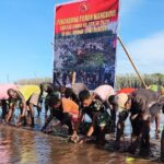 Bersatu Dengan Alam, Satgas TMMD Kodim 1710/Mimika Tanam Ribuan Bibit Mangrove