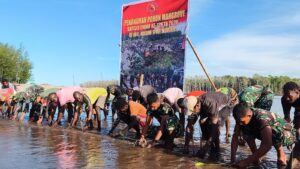Bersatu Dengan Alam, Satgas TMMD Kodim 1710/Mimika Tanam Ribuan Bibit Mangrove