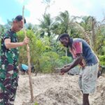 Manfaatkan Lahan Tidur, Satgas TMMD Ke-128 Kodim 1710/Mimika Tanam Jagung Bersama Warga