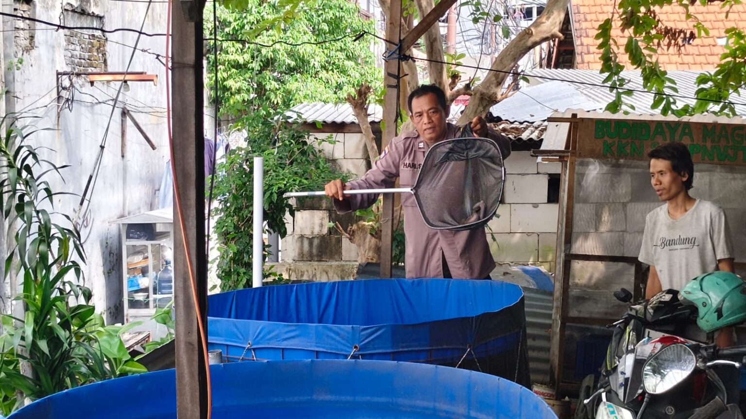 Foto: Bhabinkamtibmas Polsek Genteng bersama warga Kampung Lemah Putro mengembangkan budidaya lele dan produksi abon lele untuk mendukung ketahanan pangan di Surabaya.