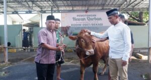 Dandim 0507/Bekasi Serahkan Hewan Kurban, Jadikan Idul Adha Sebagai Momentum Meningkatkan Ketakwaan dan Keikhlasan Beribadah