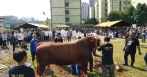 Pangdam Jaya Hadiri Sholat Idul Adha dan Serahkan Hewan Kurban Secara Simbolis di Makodam Jaya