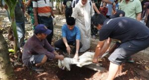 Kodim 0502/JU Salurkan dan Potong Hewan Kurban untuk Warga Jakarta Utara