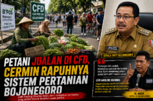 Petani Jualan di CFD, Cermin Rapuhnya Sistem Pertanian Bojonegoro