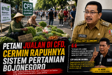 Gambar ilustrasi (dok.ist)