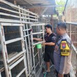 Bhabinkamtibmas Wonorejo Sambangi Peternakan Ayam Petelur, Dukung Ketahanan Pangan di Surabaya