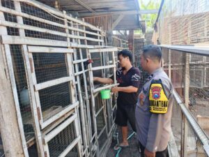 Bhabinkamtibmas Wonorejo Sambangi Peternakan Ayam Petelur, Dukung Ketahanan Pangan di Surabaya