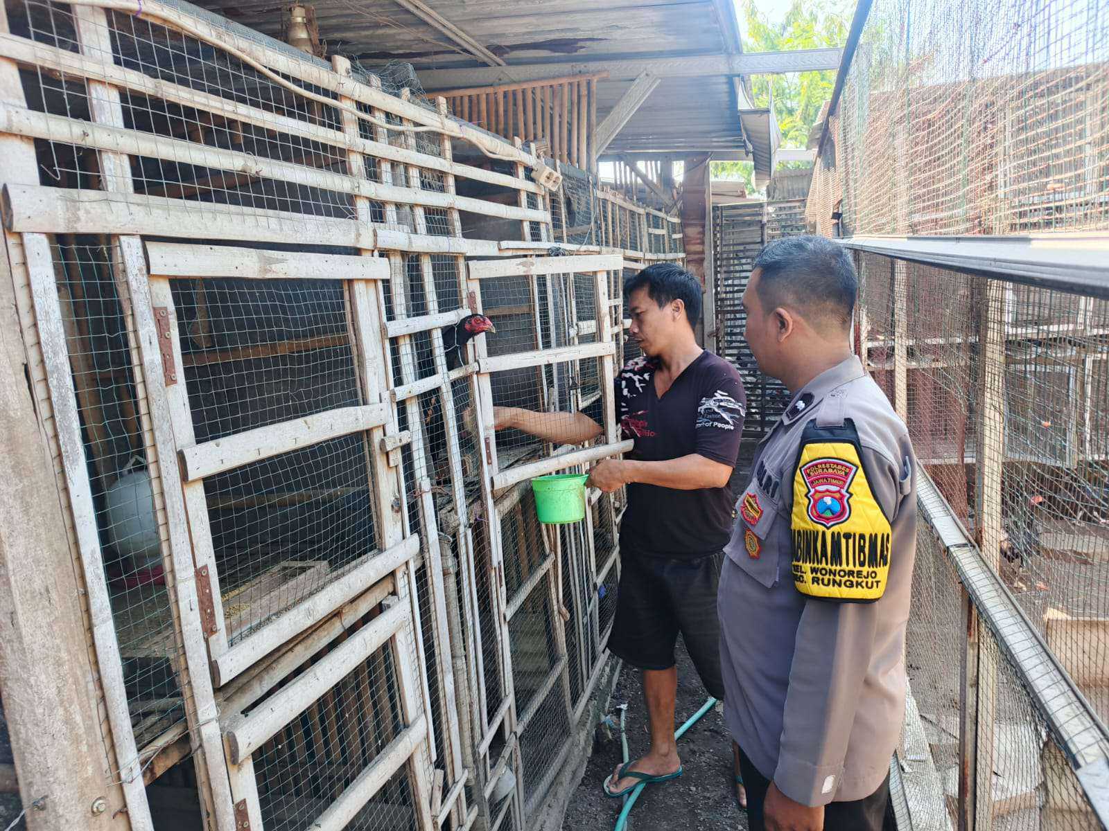 Foto: Aipda Denny Syaiful Amri saat patroli sambang dan berdialog dengan pemilik peternakan ayam petelur di Wonorejo Selatan, Kecamatan Rungkut, Surabaya, dalam rangka mendukung program ketahanan pangan nasional.