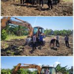 Polres Pelabuhan Tanjungperak Optimalkan Lahan Jagung di Kenjeran, Dukung Ketahanan Pangan Polda Jatim