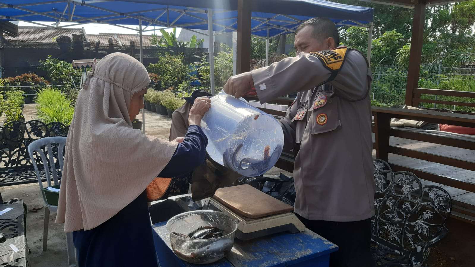 Foto: Polsek Krembangan bersama PPL Surabaya dan KWT Dorang Cinta saat panen raya ikan lele sebanyak 90 kilogram di lahan ketahanan pangan Kelurahan Perak Barat Surabaya.
