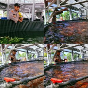 Polri Dukung Ketahanan Pangan, Bhabinkamtibmas Jemur Wonosari Dampingi Budidaya 1.400 Ikan Nila Berteknologi RAS