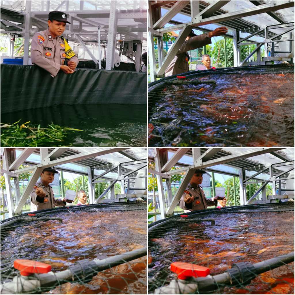 Foto: Bhabinkamtibmas Kelurahan Jemur Wonosari saat meninjau budidaya 1.400 ikan nila menggunakan teknologi RAS untuk mendukung ketahanan pangan di Surabaya.