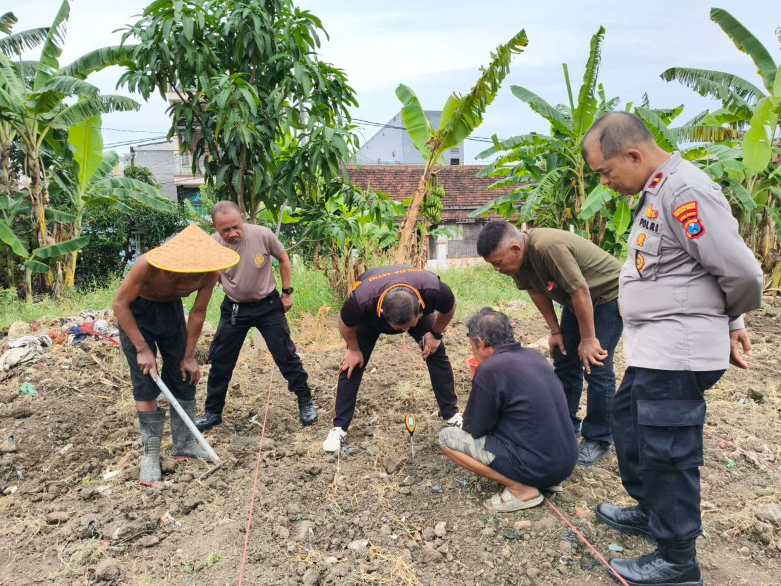 Foto: Polsek Kenjeran bersama PPL Kota Surabaya melakukan pengecekan pH tanah di lahan jagung ketahanan pangan milik Polres Pelabuhan Tanjung Perak.