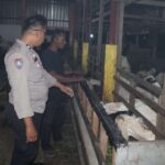 Bhabinkamtibmas Sumberrejo Dukung Peternak Kambing di Pakal, Perkuat Ketahanan Pangan Nasional