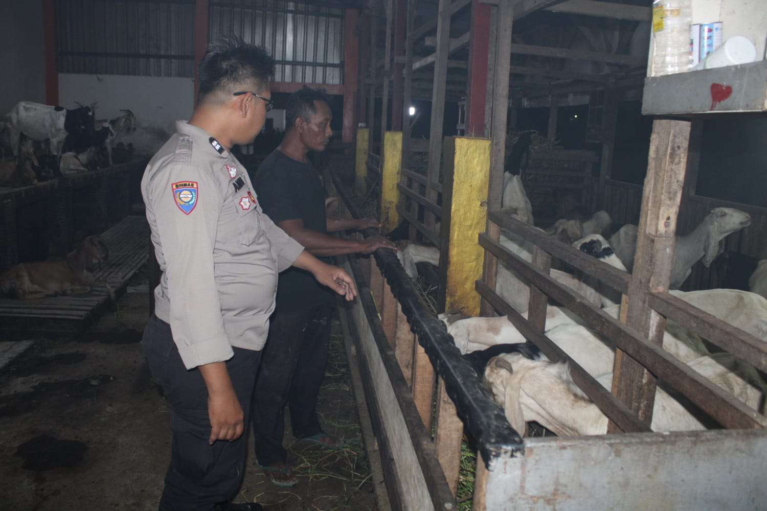 Foto: Bhabinkamtibmas Kelurahan Sumberrejo AIPTU Andi Nurcahyanto saat mengunjungi peternakan kambing milik warga di Kecamatan Pakal Surabaya untuk mendukung program ketahanan pangan nasional.