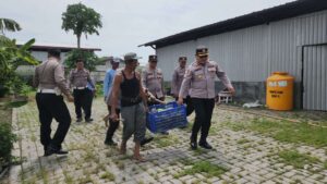 Polres Pelabuhan Tanjung Perak Panen Raya Terong Tumpang Sari Dukung Swasembada Pangan