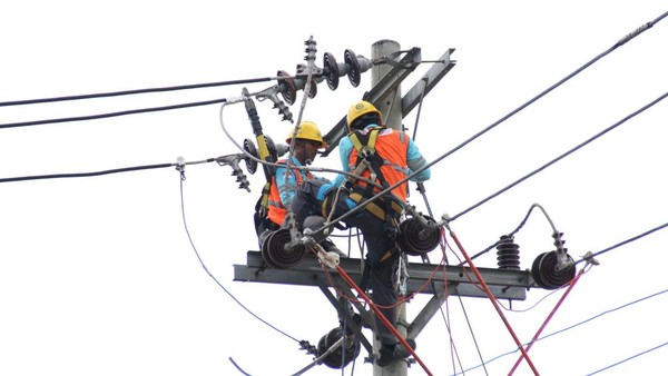 Foto: Petugas PLN melakukan perbaikan pada gardu distribusi listrik guna menjaga keandalan pasokan dan stabilitas sistem kelistrikan di wilayah layanan.(Ist)