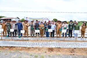 Pengembangan Bawang Putih Terus Diperkuat, Bupati Samosir Serahkan Bantuan 4 Ton Benih kepada Kelompok Tani
