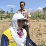 Petani Sambongrejo Sumringah, Lahan yang Dulu Sulit Diolah Kini Lebih Mudah dan Panen Diprediksi Meningkat