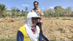 Petani Sambongrejo Sumringah, Lahan yang Dulu Sulit Diolah Kini Lebih Mudah dan Panen Diprediksi Meningkat