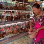 Pemkab Bojonegoro Bergerak Selamatkan Peternak GAYATRI, Evaluasi Program dan Perluas Akses Pasar Telur