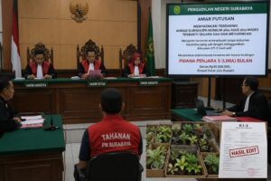 Dokumen KT-3 Dimanipulasi: PN Surabaya Vonis Pengirim 2.697 Tanaman Hias Ilegal 5 Bulan Penjara