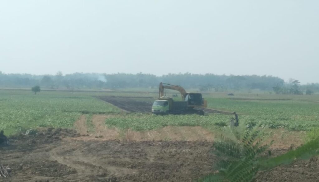 Aktivitas Galian C Diduga llegal di Desa Balungtawun Lamongan APH di Minta Kroscek Lapangan