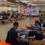 INALUM Sambut HUT RI ke-81 dengan Aksi Donor Darah, Himpun 626 Kantong