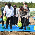 Bupati Samosir dan Kapolda Sumut Tanam Bawang Putih, Bidik Samosir Jadi Sentra Swasembada Pangan