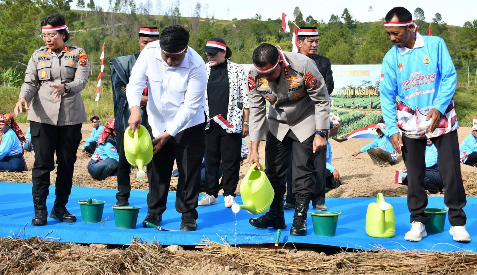 Bupati Samosir dan Kapolda Sumut Tanam Bawang Putih, Bidik Samosir Jadi Sentra Swasembada Pangan