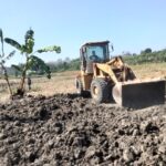 Pemerataan Lahan di Sambongrejo Permudah Pengelolaan Sawah, Petani Optimistis Panen Meningkat